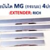 ชายบันได MG Extender โครเมี่ยม งาน Rich